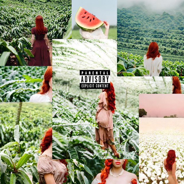 Querida Anna cover art