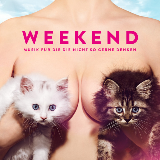 Musik Für Die Die Nicht So Gerne Denken cover art