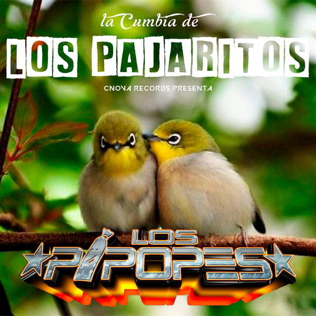 Artwork for La Cumbia De Los Pajaritos