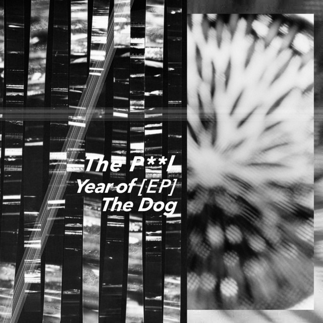 Year of the Dog cover art