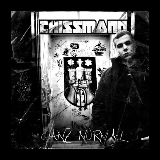 Ganz normal cover art