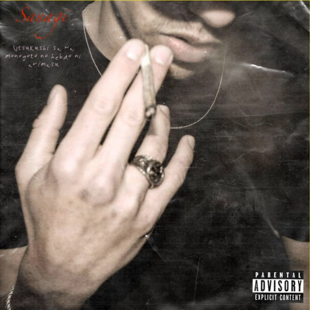 .SANAGI cover art