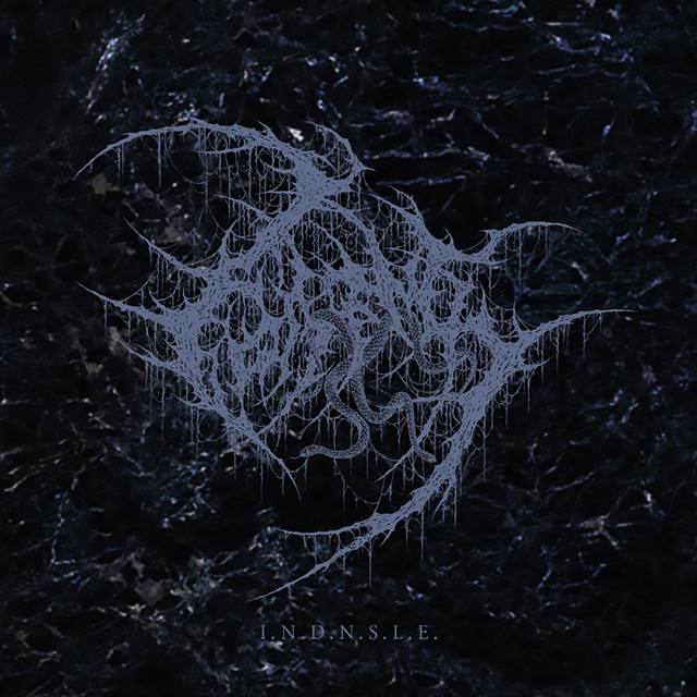 I​.​N​.​D​.​N​.​S​.​L​.​E. cover art