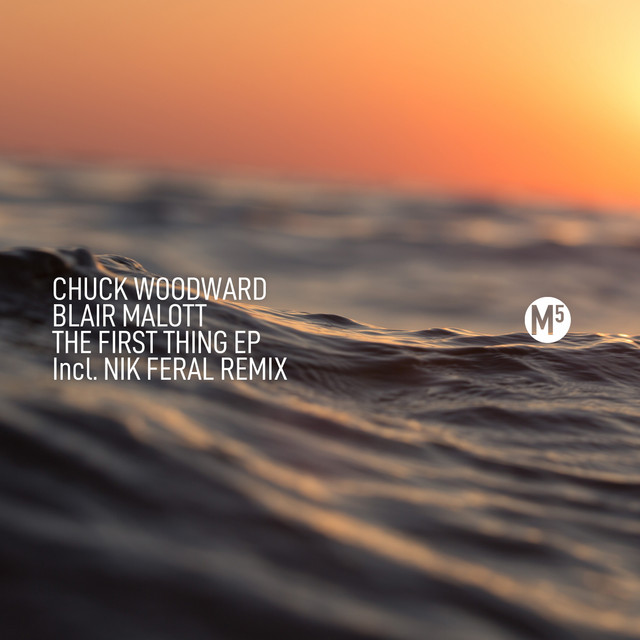 The First Thing - Original Mix cover art