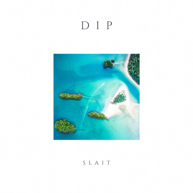 Dip cover art
