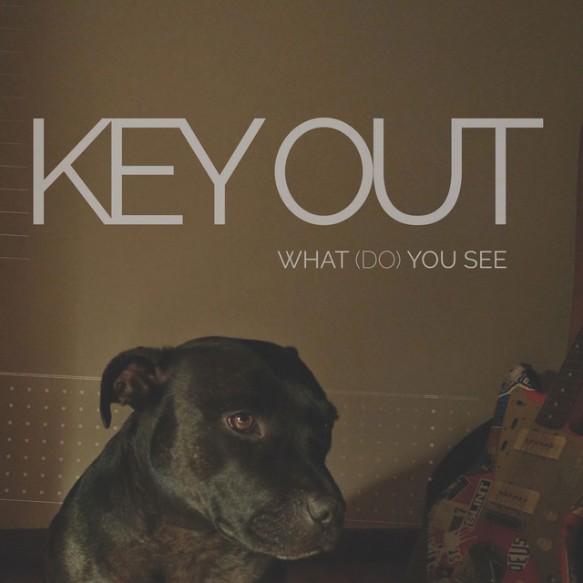 What (do) you see cover art
