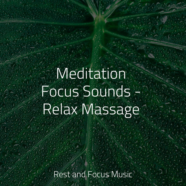 Meditation Focus Sounds - Relax Massage cover art