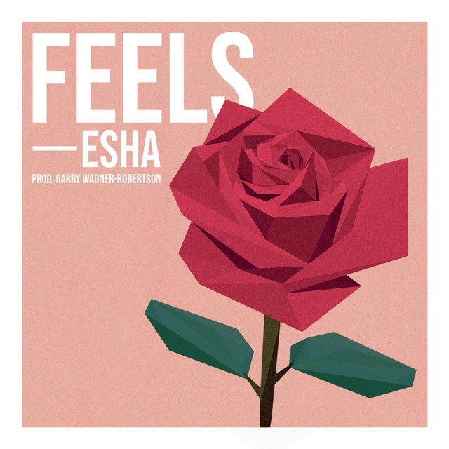 Feels cover art