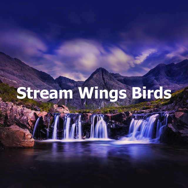 Stream Wings Birds - Album by Relaxing Nature Sounds Collection | Spotify