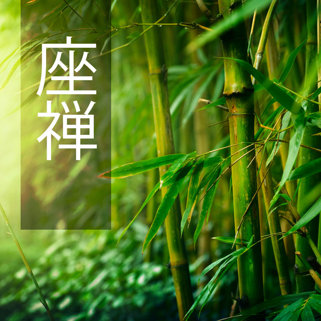 自分を癒す Song By 熟睡 Maestro Spotify