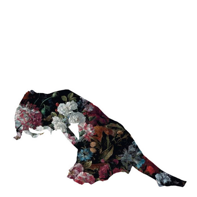 Bloom cover