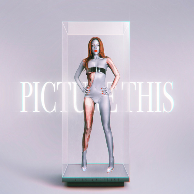Picture This cover art