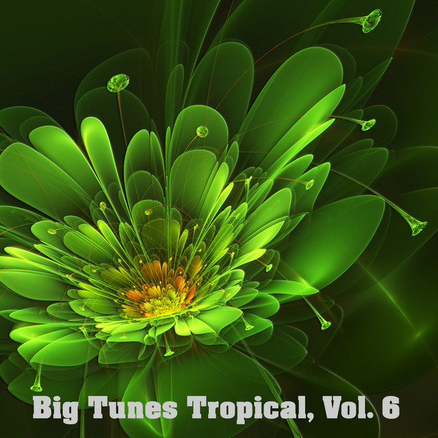 Big Tunes Tropical, Vol. 6 cover art