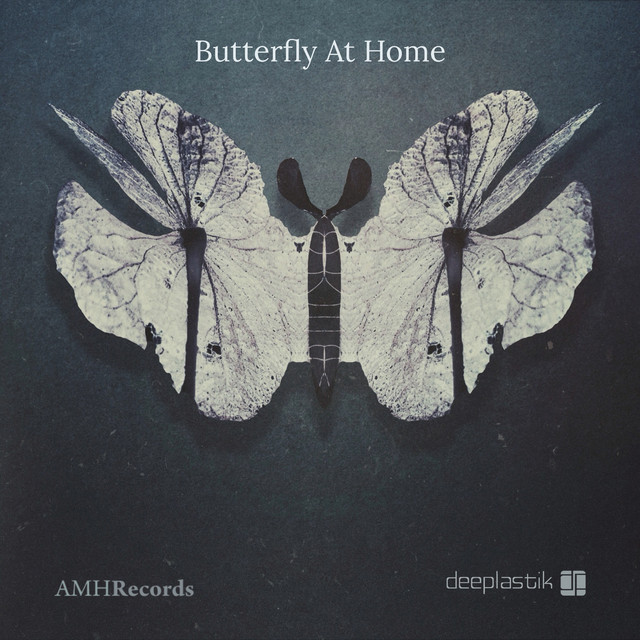 Butterfly At Home cover art
