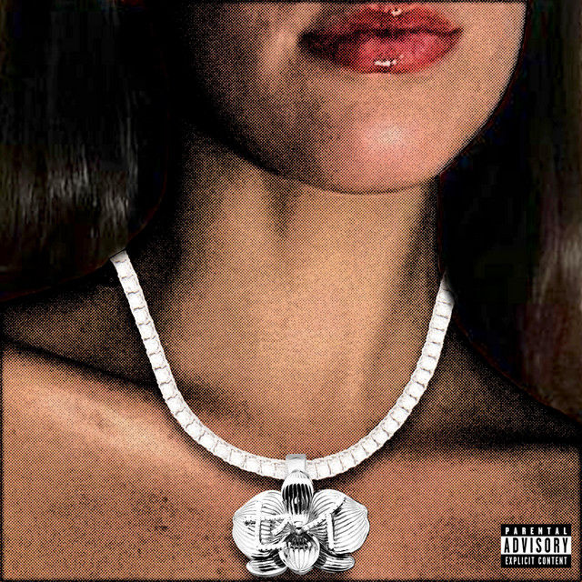 Burnt Bridges cover art