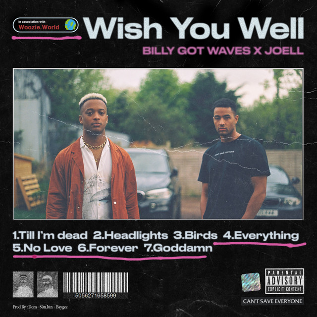 Wish You Well cover art