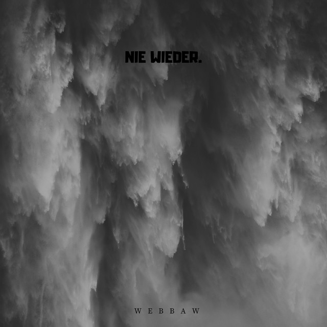 Nie Wieder cover art