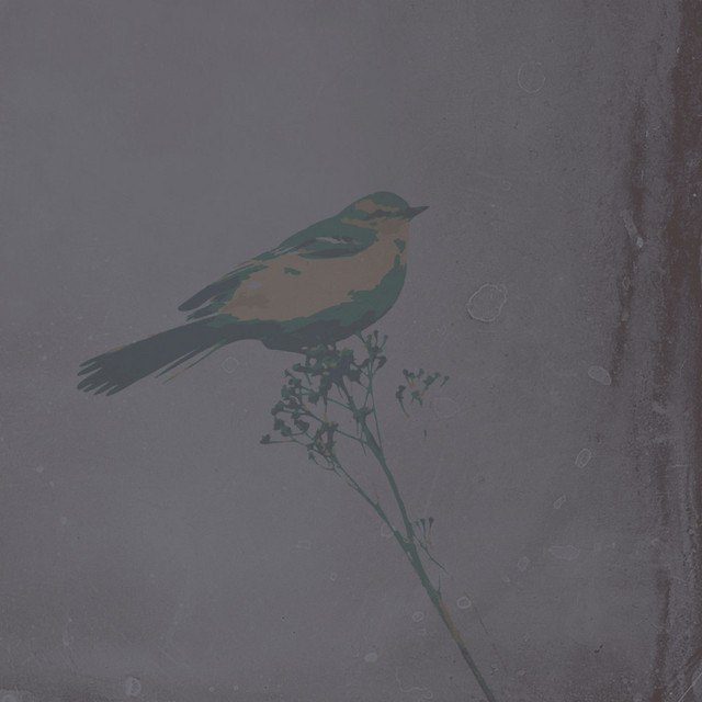 Time Lapse cover art