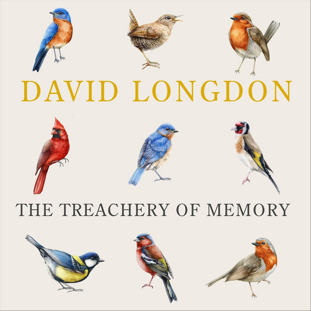 The Treachery of Memory cover