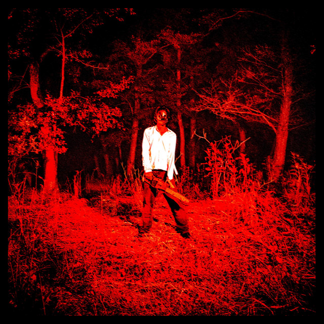 IL BURATTINAIO cover art