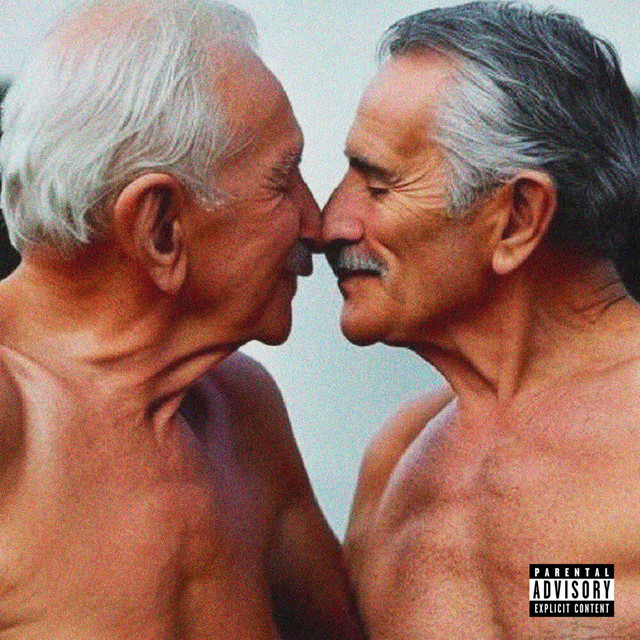 Viejos Gays cover art