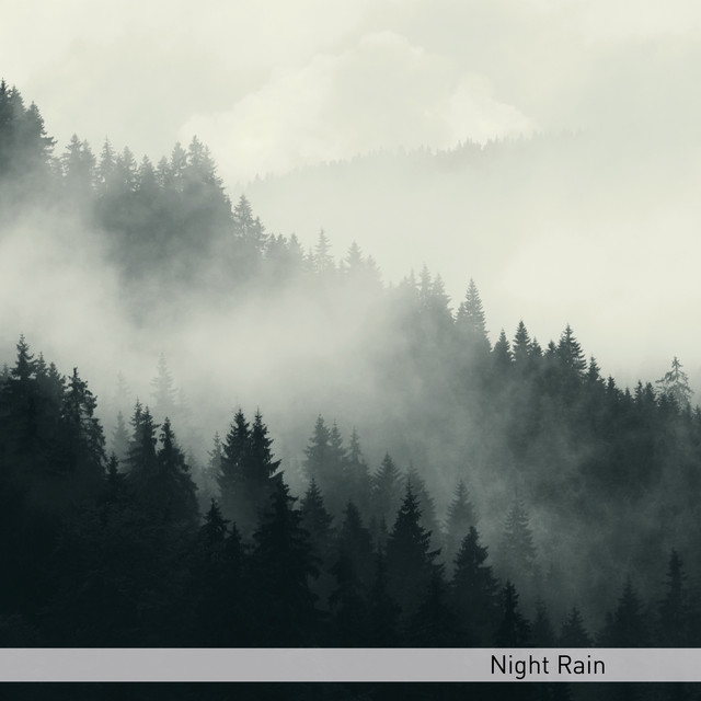 Night Rain cover art