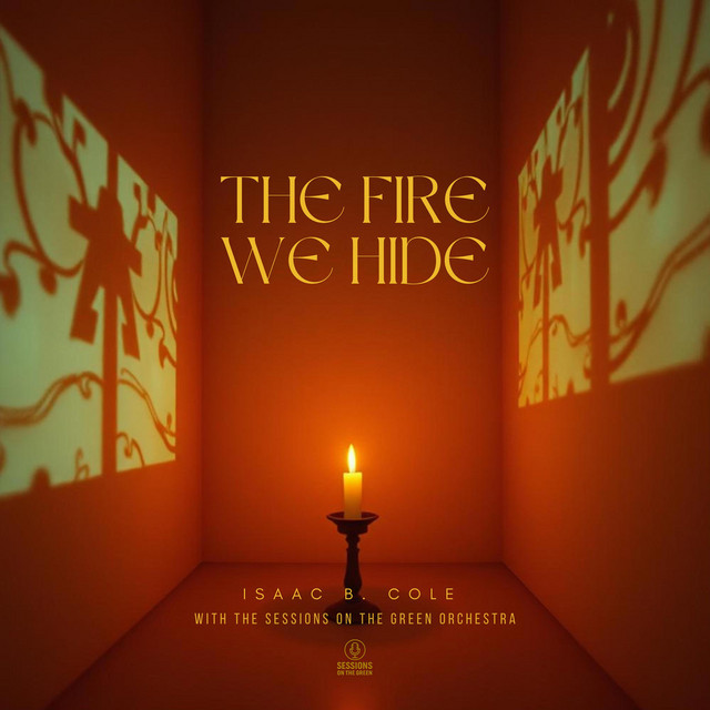 Cover du titre The Fire We Hide