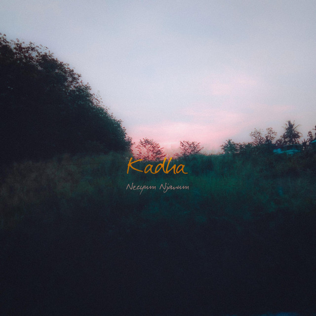 Neeyum Njanum cover art