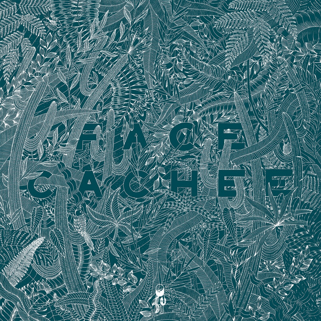 Face Cachée cover art