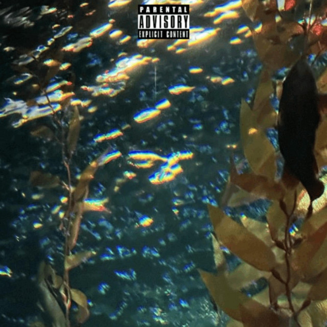 sellout cover art