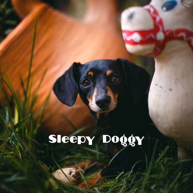 Sleepy Doggy cover art