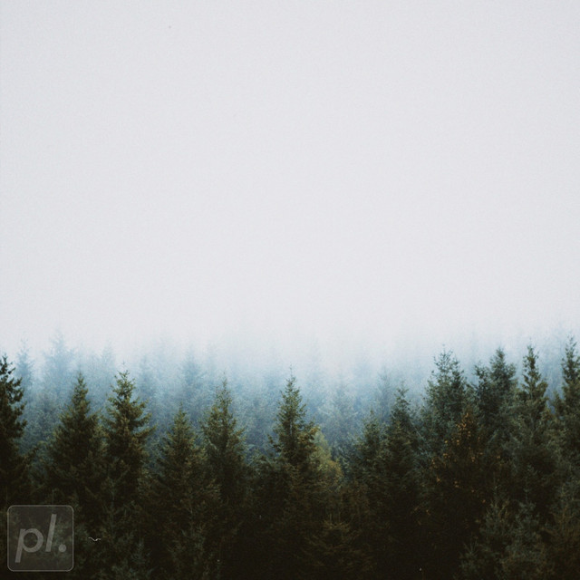 Pinoideae cover art