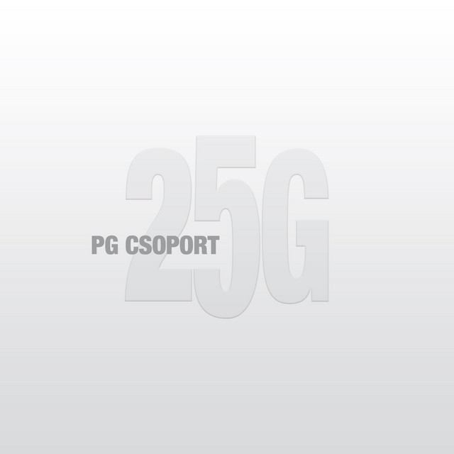 PG Csoport
