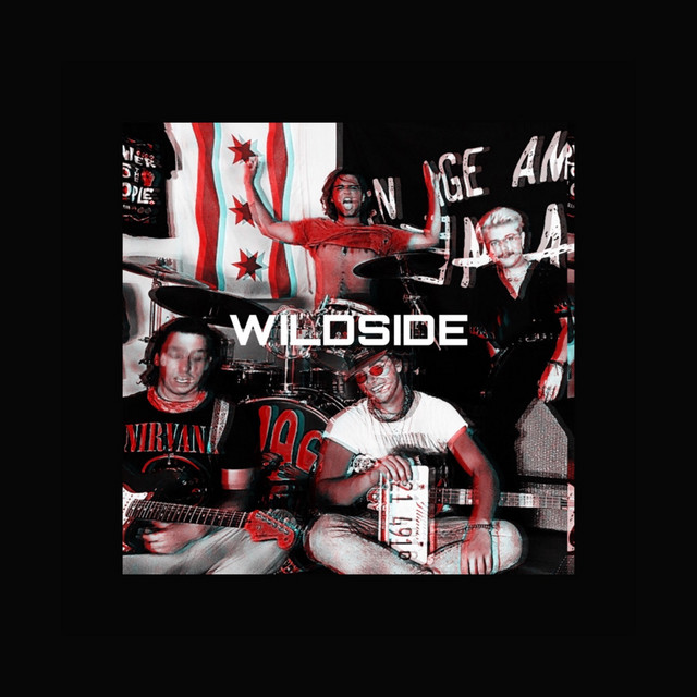 Wild Side cover art