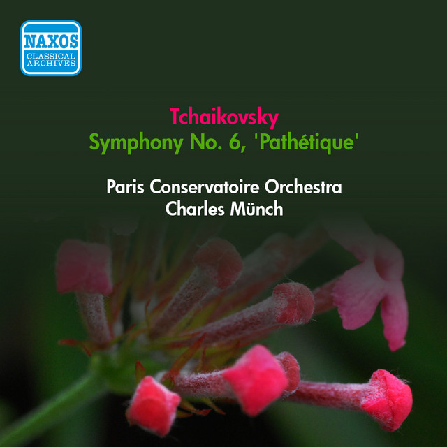 Symphony No. 6 in B Minor, Op. 74, TH 30 "Pathétique": II. Allegro con gracia