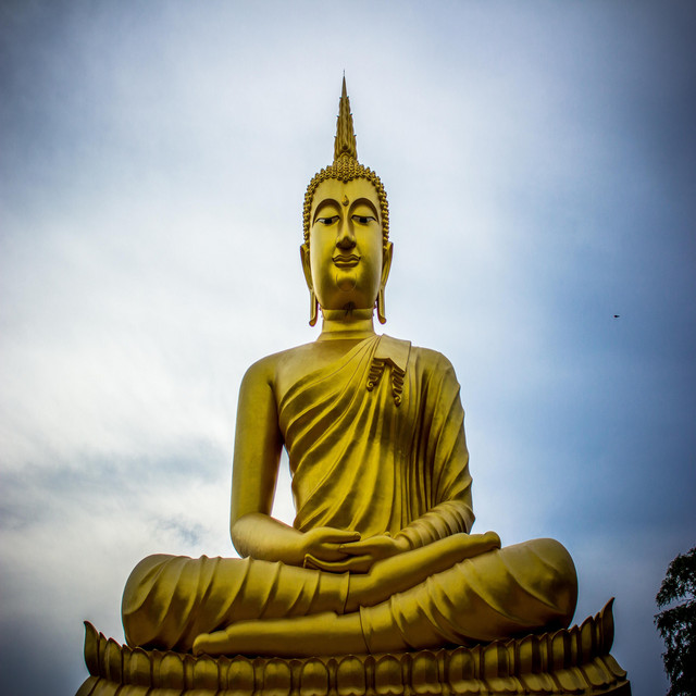 Buddha cover art