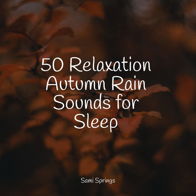 50 Relaxation Autumn Rain Sounds for Sleep - Album by Nature Sounds ...