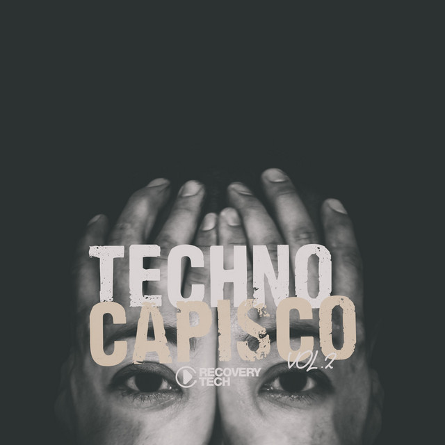 Techno Capisco, Vol. 2 cover