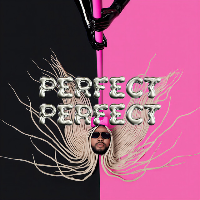 PERFECT PERFECT