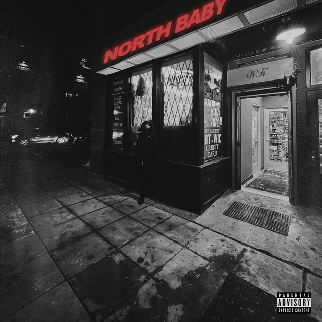 NORTH BABY cover