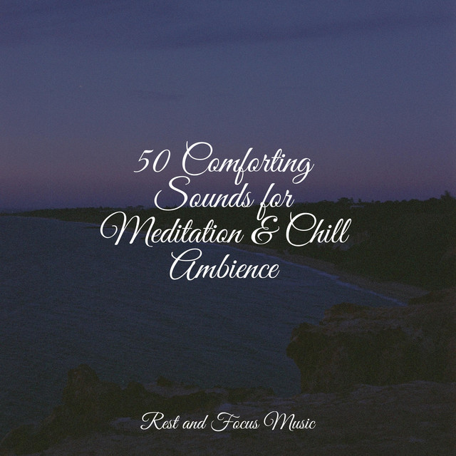 50 Comforting Sounds for Meditation & Chill Ambience - Album by Life ...