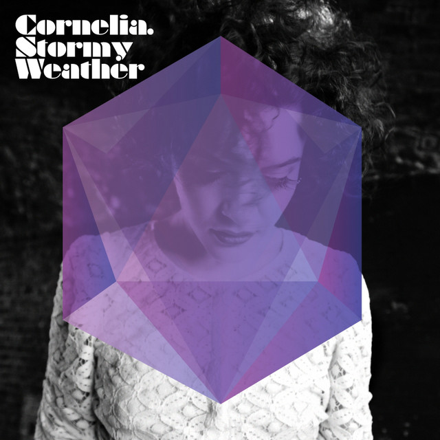 Stormy Weather cover art