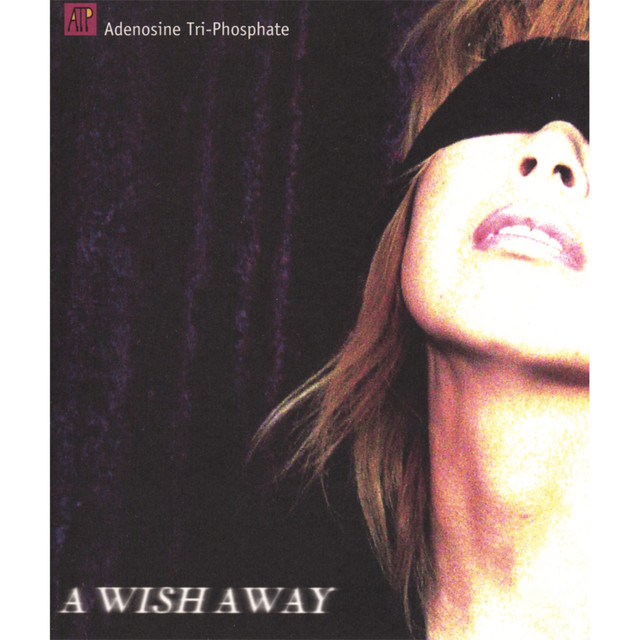 A Wish Away cover art