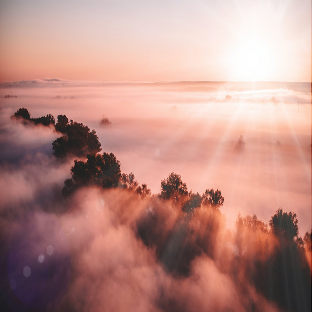 Cover of Bliss by Willian Mcgrow