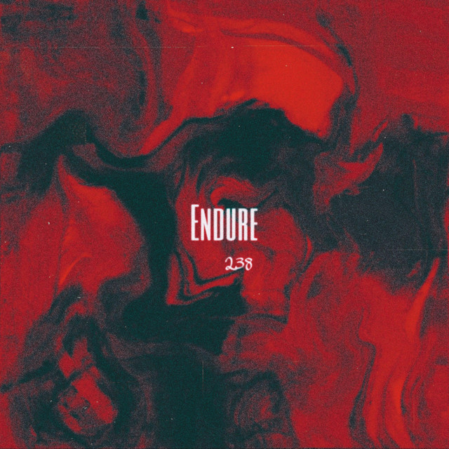 Endure cover art