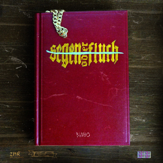 Segen oder Fluch cover art