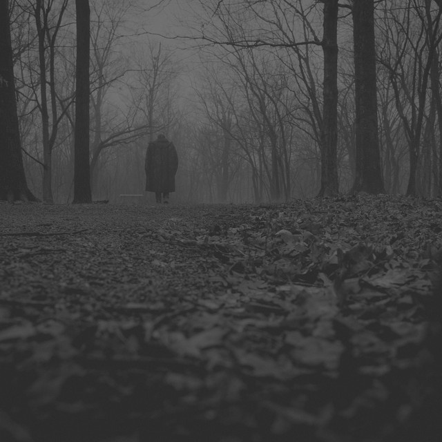 Into The Earth cover