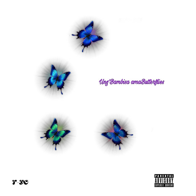 UngiBambisa amaButterflies cover art