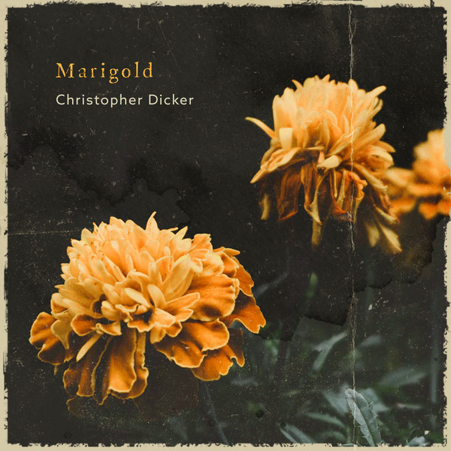 Marigold cover art