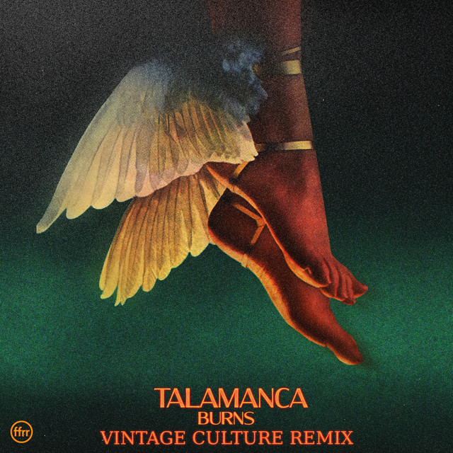 Talamanca - Vintage Culture Extended Remix album art